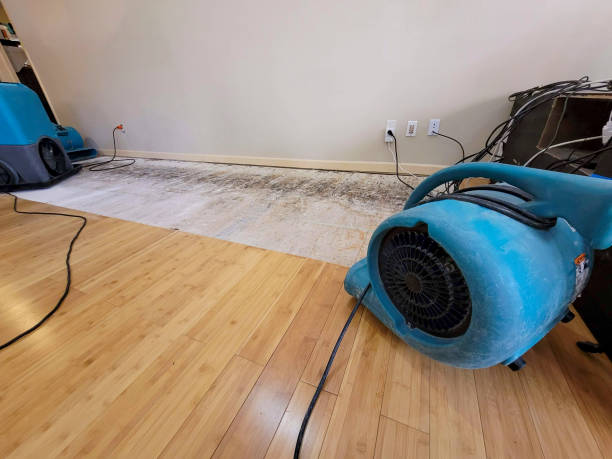 Professional Water Extraction technician working in South Hamilton, MA